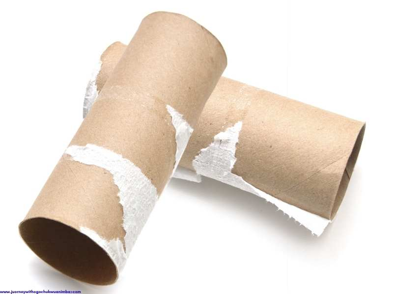 Two toilet paper roll for 27 Easy Kids Crafts with Recycled Materials (Turn Trash into Treasure)
