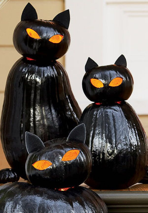 Black Cat Pumpkins for Halloween Crafts