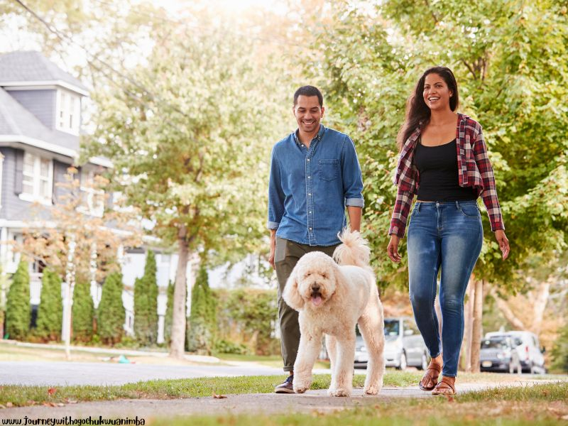 Go on a Neighborhood Light Walk for Things To Enjoy at Home This December