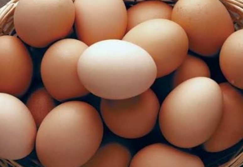 Egg