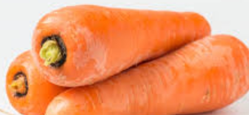Carrot