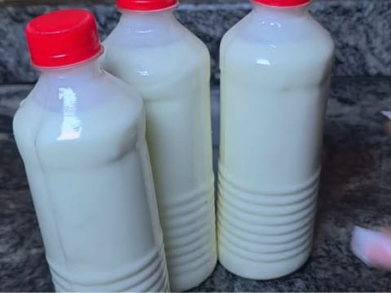 How to Make Healthy Creamy Yogurt at Home Without Stress